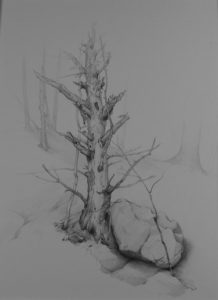 Peter Granucci - Drawing
