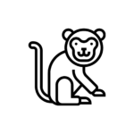 Monkey Black