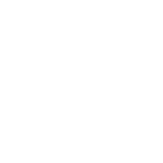 Monkey White (1)